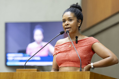 Movimentação de plenário. Na  tribuna, a vereadora Karen Santos