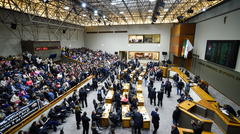 Texto do Executivo foi votado em maio pelo Plenário da Câmara Municipal