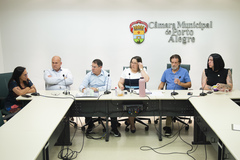 Reunião de Comissão - 1ª Reunião (Ordinária) da COSMAM – Reunião Interna (definição de pautas, visitas e demais assuntos correlatos).