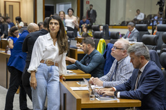 Movimentação de Plenário. A Secretária Adjunta do Meio Ambiente de Porto Alegre, Júlia Zardo, acompanha votação ao lado dos vereadores Tiago Albrecht e Ramiro Rosário.