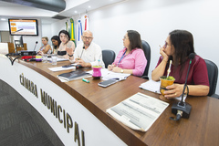 Reunião de Comissão - 4ª Reunião (Ordinária) da COSMAM - Audiência Pública para apresentação, por parte da SMS, do Relatório de Gestão de Saúde do 3º quadrimestre de 2024.