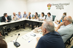 Reunião de Comissão - 5ª Reunião (Extraordinária) da COSMAM – Transferência do serviço de Ginecologia do Hospital Nossa Senhora Conceição.