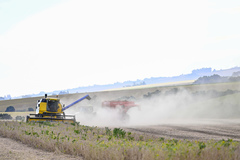 Colheita, Agro, Campo, Agricultura, Rural.