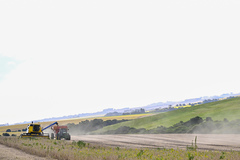 Colheita, Agro, Campo, Agricultura, Rural.