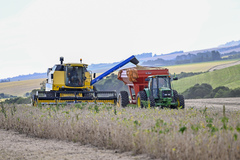 Colheita, Agro, Campo, Agricultura, Rural.