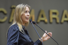 Vereadora Fernanda Barth.