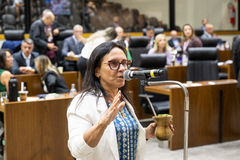 Movimentação de plenário. Vereadora Cláudia Araújo
