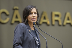 Movimentação de plenário. Retrato - Vereadora Juliana de Souza.
