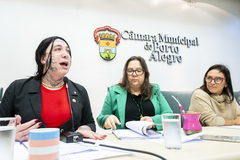 A importância do Conselho Municipal de Saúde (CMS).