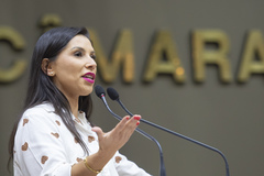 Movimentação de plenário. Na foto, a vereadora Mariana Lescano.