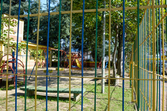 Uma das leis obriga escolas com área disponível a plantar mudas de árvores frutíferas (Foto Arquivo CMPA)