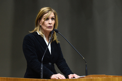 Vereadora Mônica Leal (PP) propôs a homenagem