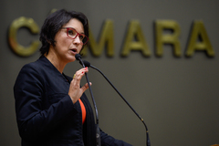 Comandante Nádia (PMDB) é a proponente