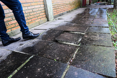 Cece verificou problemas nas escolas municipais no primeiro semestre