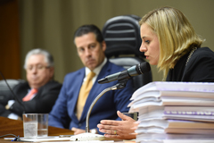 Diretora do Procon, Sophia Vial falou nesta manhã aos vereadores da CPI