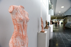 Os trabalhos estão expostos na Galeria Clébio Sória 