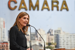Vereadora Mônica Leal (PP) é a proponente