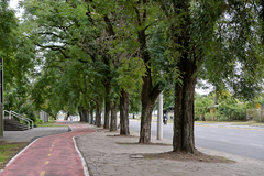 Proposta sugere que moradores e empresários da via sejam ouvidos antes de instalação de ciclovia