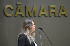 Lauriana Nardini explicou aos vereadores o trabalho realizado pela entidade
