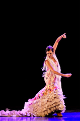 A bailaora Andréa Franco em cena