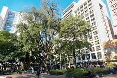 A Semana promoverá ações para a proteção dos bens naturais