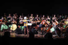 Grupo já se apresentou no Teatro Glênio Peres, da Câmara.