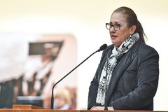 A vereadora Lourdes Sprenger (Foto: Leonardo Contursi/CMPA)