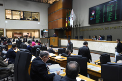 Vereadores mudam regras para representação externa