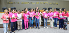 Sessão destacou trabalho voluntário realizado no Hospital Santa Rita e pelas taquígrafas da Câmara