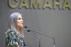 Gladis defende implementação de políticas para melhor assistir portadores da doença