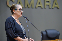 Movimentações de plenário. Na foto, a vereadora Lourdes Sprenger
