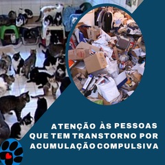 Card Acumuladores
