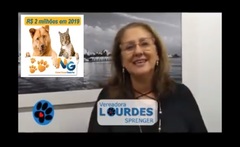 Dois milhões para a Causa Animal em 2019