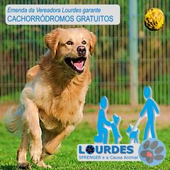 Cachorródromos em Parques