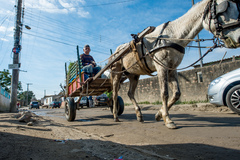Valor deverá ser aplicado no Programa Eficiência Municipal para recuperar infraestrutura viária (Foto Arquivo CMPA)
