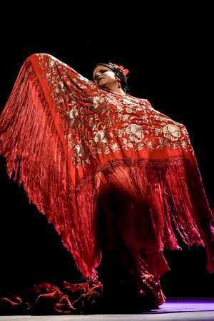 Dança flamenca A Gusto, da Companhia de Flamenco Del Puerto.