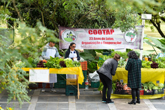 Variedade de legumes e hortaliças são ofertados por produtores da capital e do interior