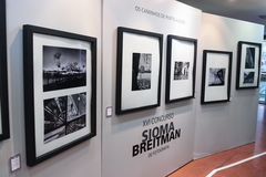 Imagens selecionadas são expostas no T Cultural Tereza Franco