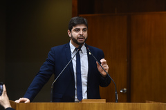 Felipe Camozzato (Novo)