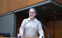 Vereadora Lourdes em Plenário