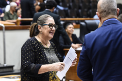 Movimentação de plenário. Na foto, vereadora Lourdes Sprenger