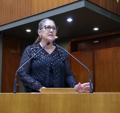 Atenção aos cuidados com o idoso