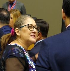  Emendas aprovadas para o Orçamento 2020