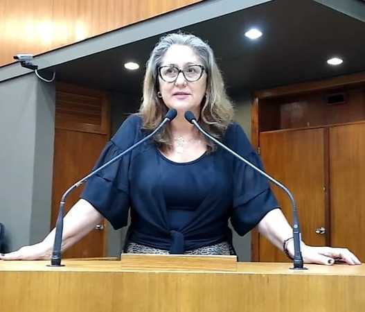 Controle populacional dos animais é uma das prioridades.