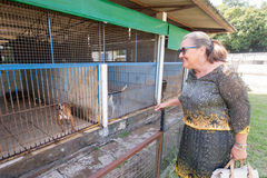 Lourdes Sprenger (MDB) é autora do projeto