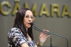 Votação do projeto que denomina como Museu Tarciso Flecha Negra o museu do negro de Porto Alegre. Na foto: vereadora autora Cláudia Araújo