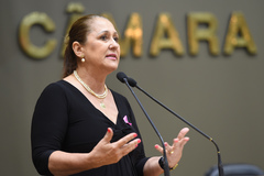 Vereadora Lourdes Sprenger