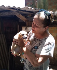 Emendas impositivas para a Causa Animal