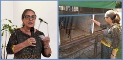 Aberto edital para Unidade de Saúde Animal