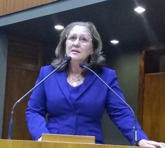 Vereadora Lourdes em Plenário